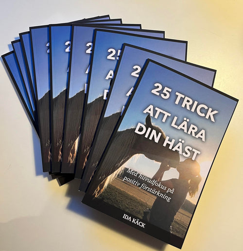 25 trick att lära din häst
