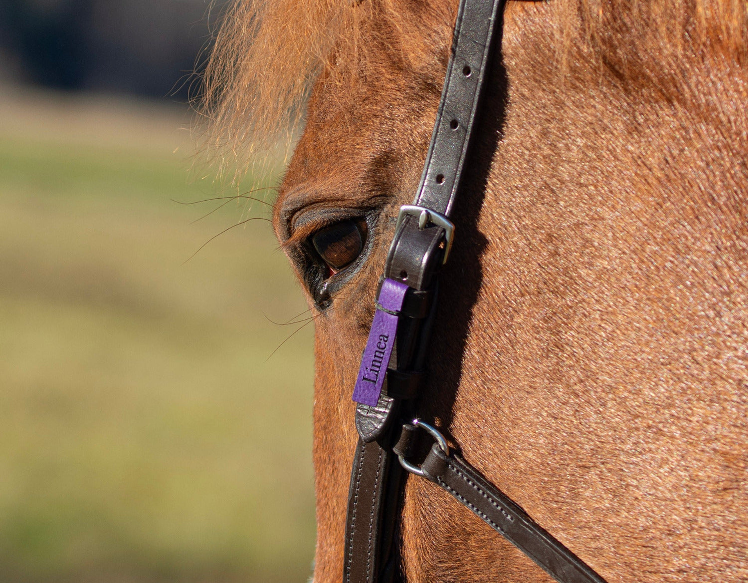 Konstlädertag vänster