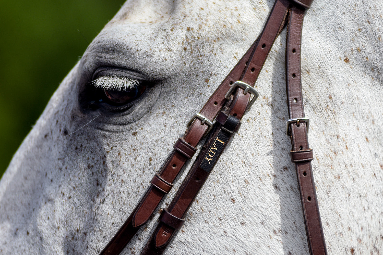 Konstlädertag höger