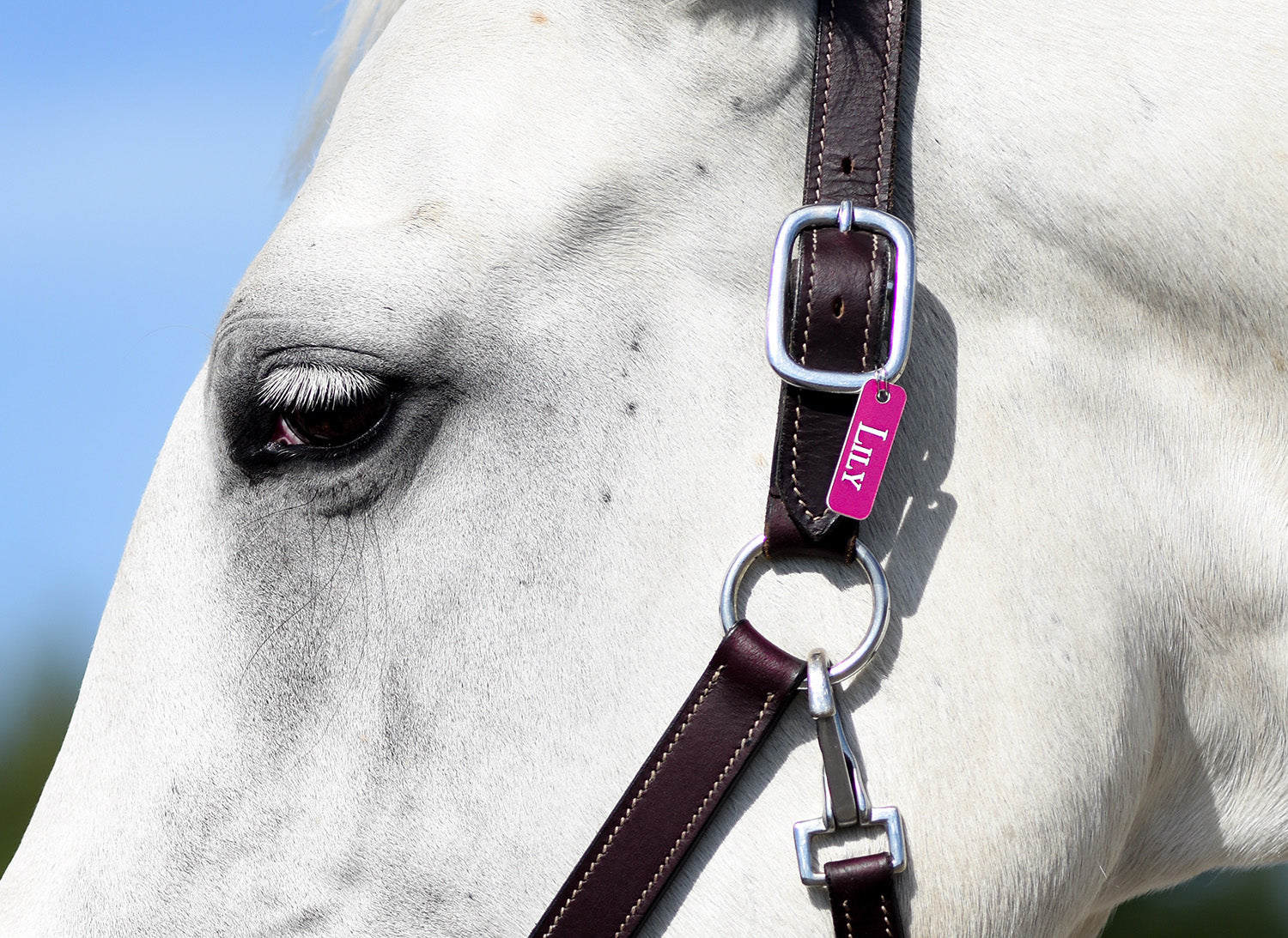 Plastbricka, standard