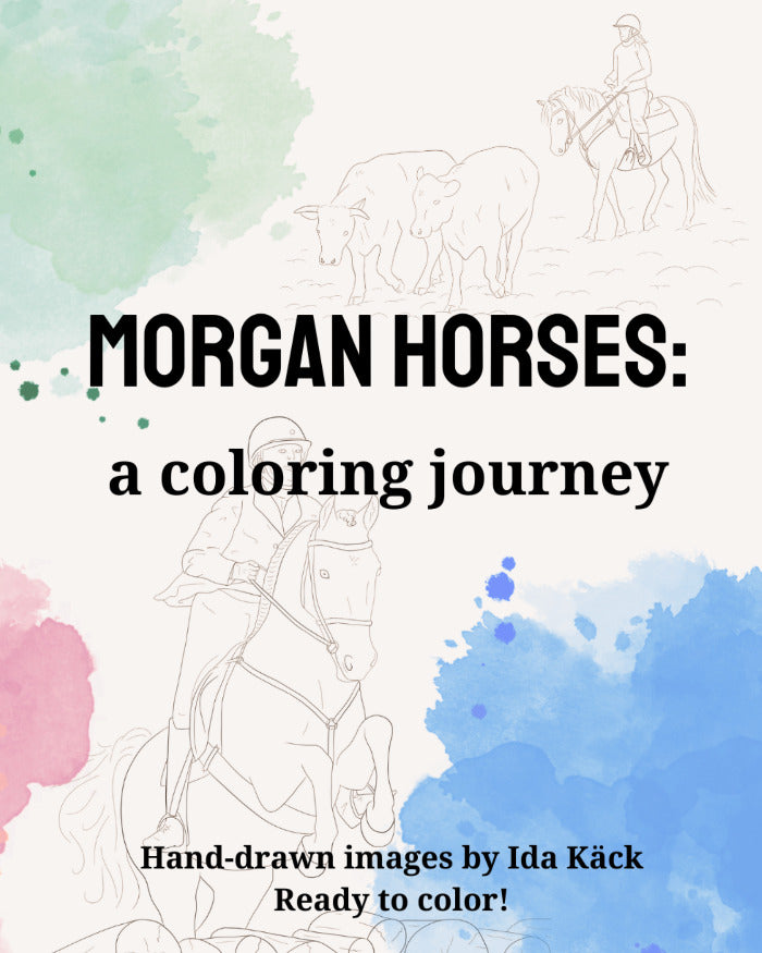 Målarbok: Morganhästar, fysisk bok
