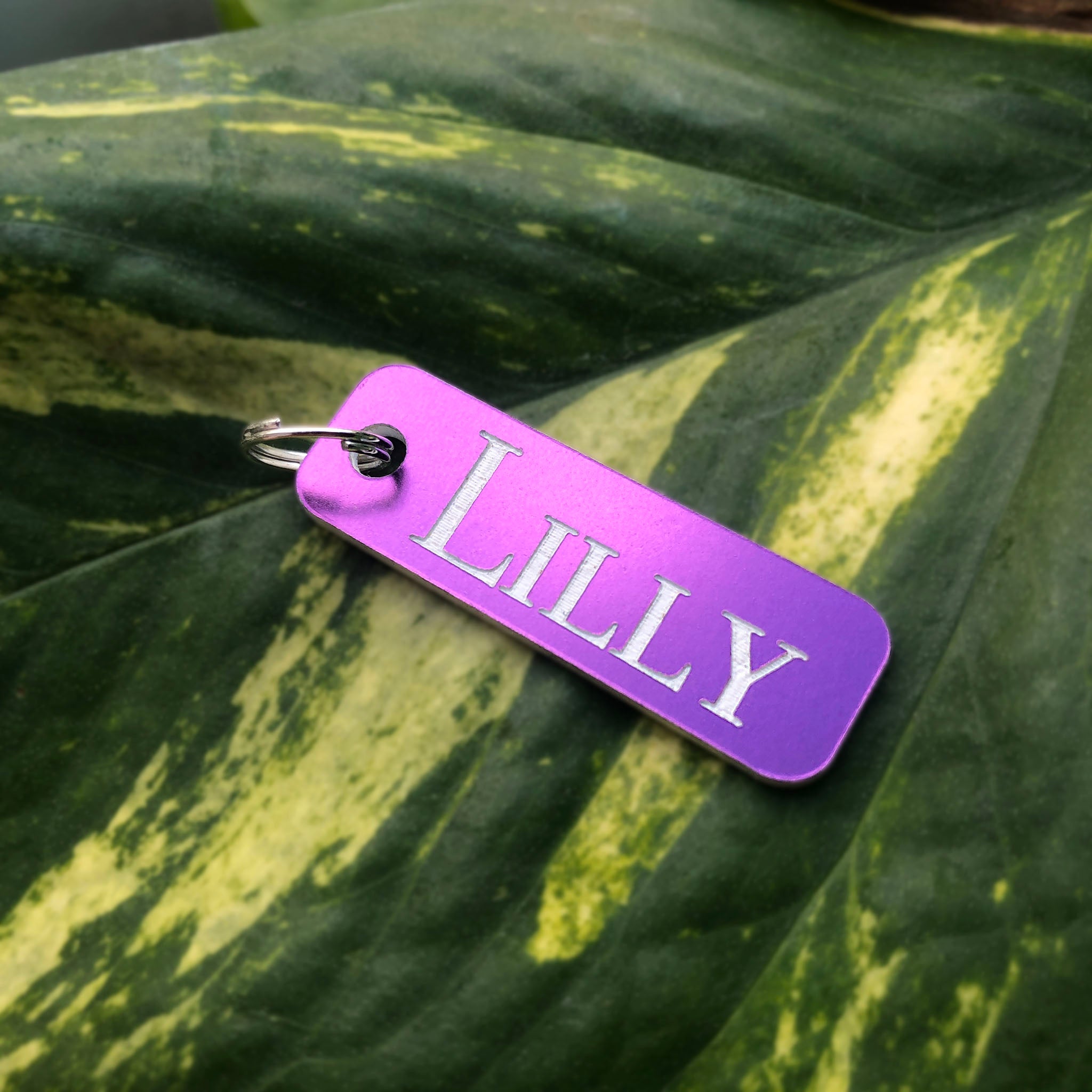 Plastbricka, standard