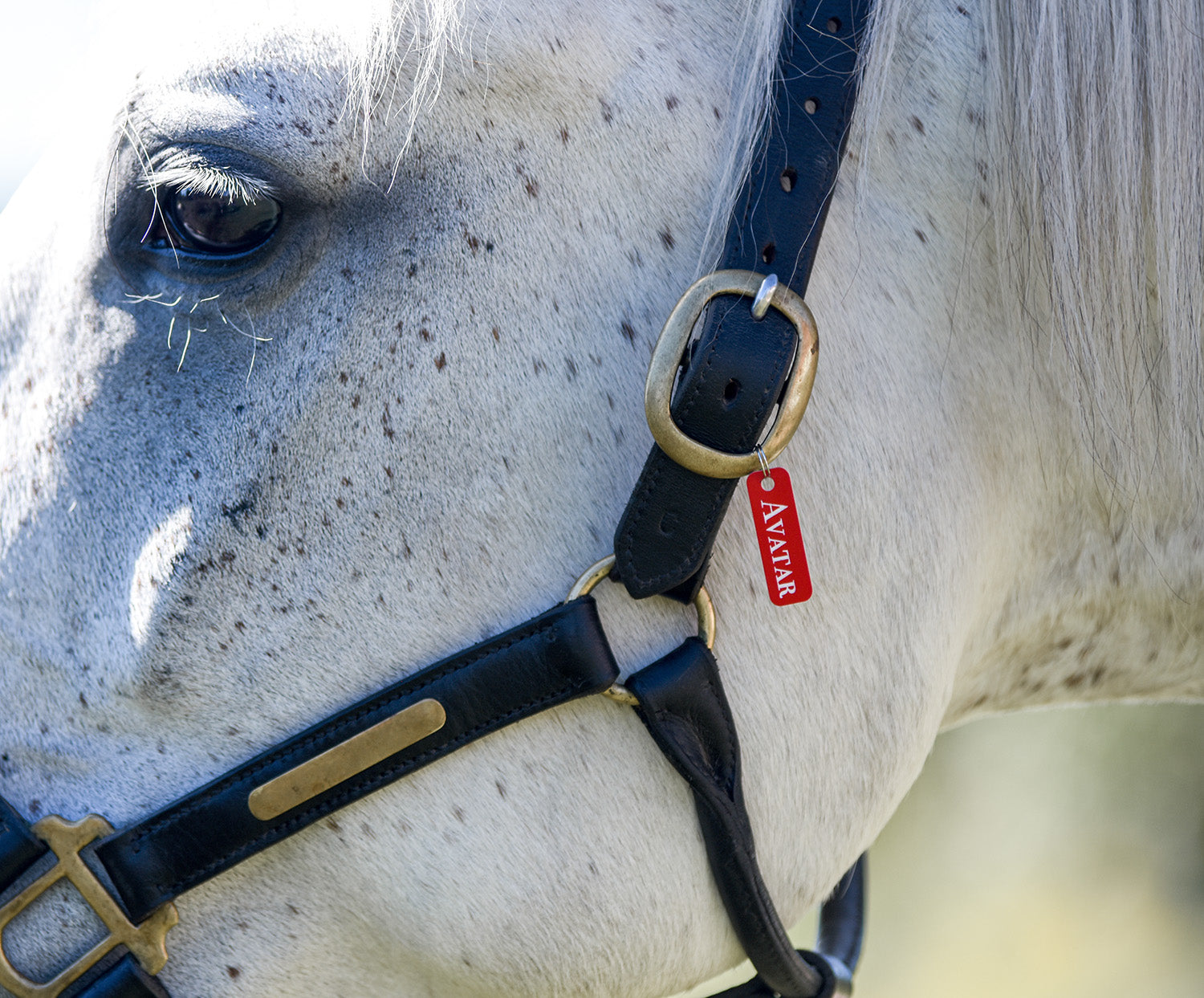 Plastbricka, standard